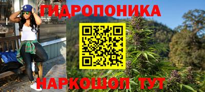 шишки Кулебаки