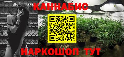 шишки Кулебаки