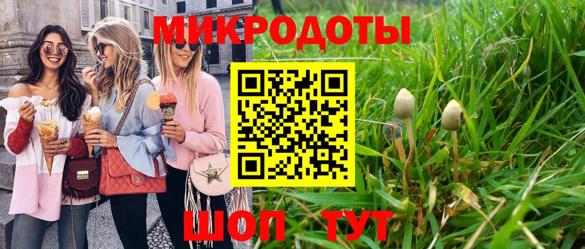 купить   Вход с VPN  Кашира  Галлюциногенные грибы Cubensis 
